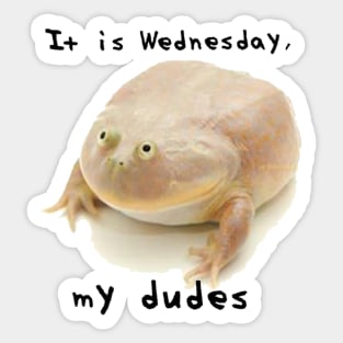 It is Wednesday, My Dudes Sticker